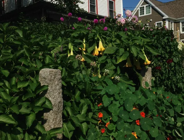 Scotch Hill Inn hotel detail image 1