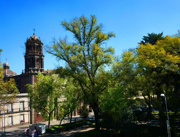 Hotel Monaco hotel detail image 4