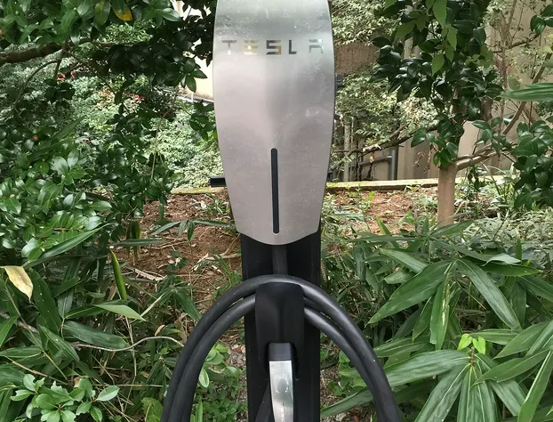 Palm Cottages hotel detail image 2