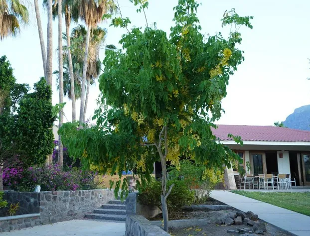 Hotel Tripui hotel detail image 1