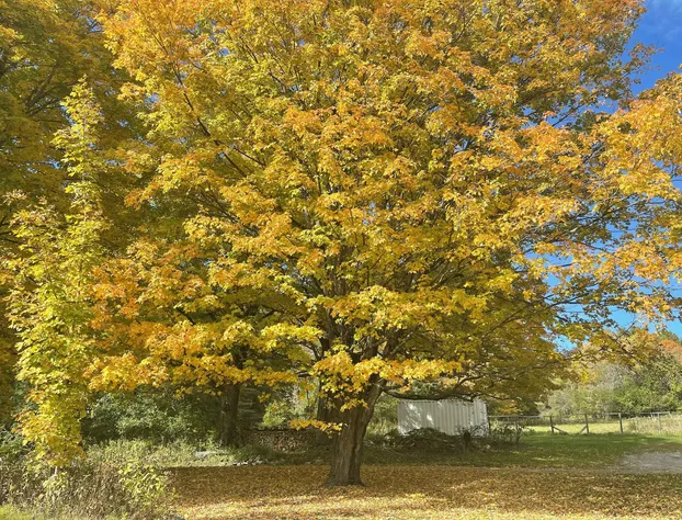 High Hill Inn hotel detail image 3