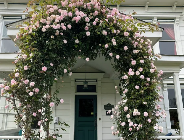 The Weller House hotel detail image 4