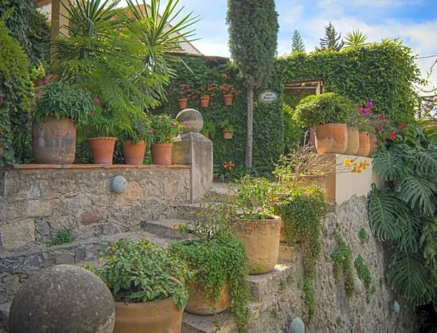 Las Terrazas hotel detail image 2