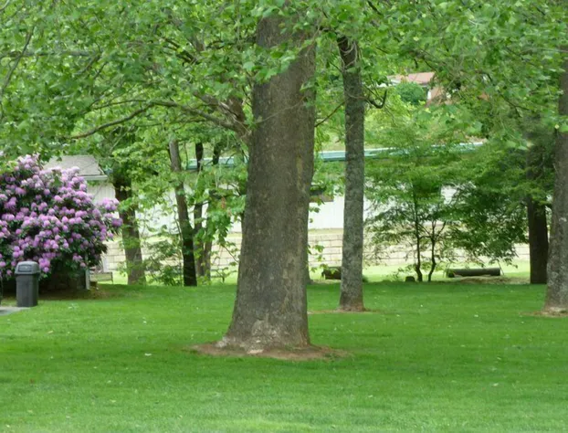 Meadowlark Motel with Restaurant & Bar hotel detail image 3