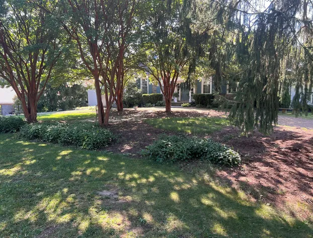 Nesselrod on the New hotel detail image 1