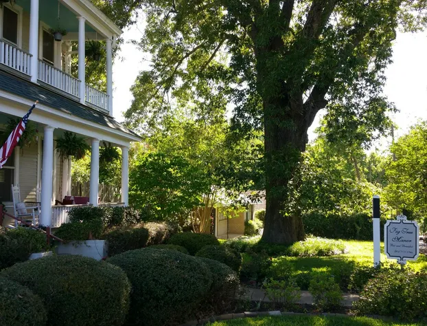 Fig Tree Manor hotel detail image 2