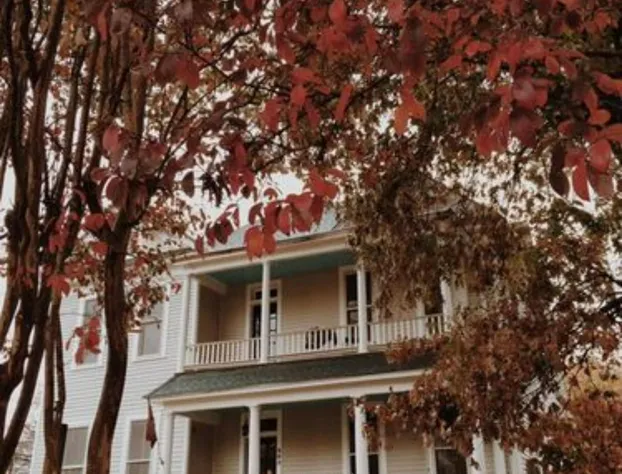 Fig Tree Manor hotel detail image 3