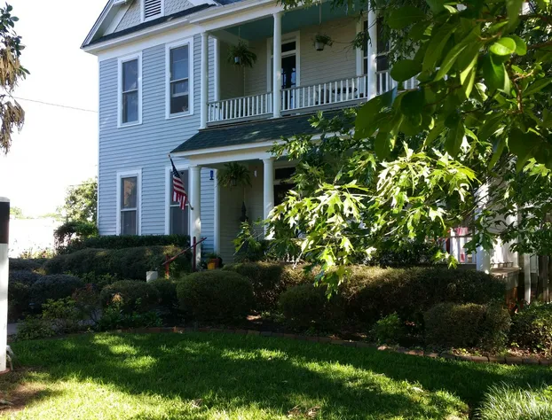 Fig Tree Manor hotel detail image 4