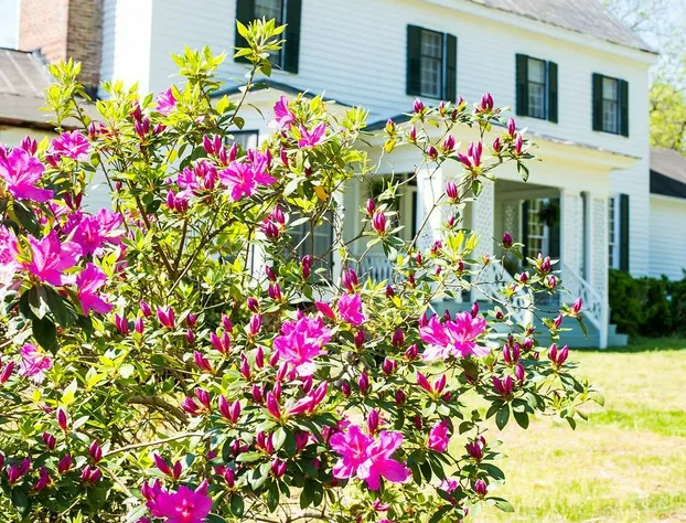 Oak Grove Bed and Breakfast hotel detail image 2