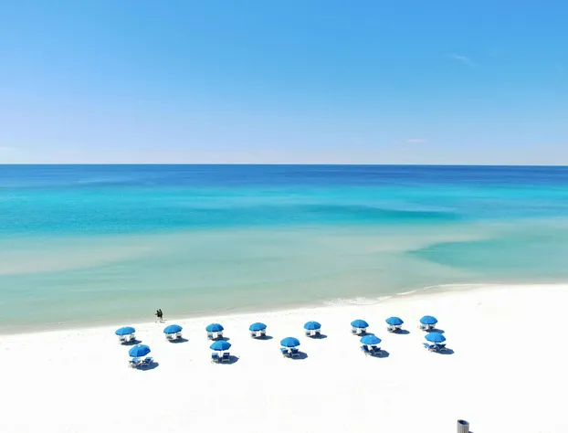 Osprey on the Gulf hotel detail image 1