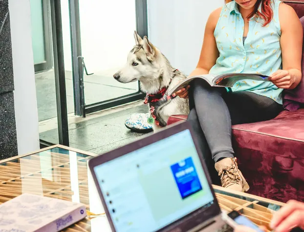 MO17 Hotel Boutique hotel detail image 3