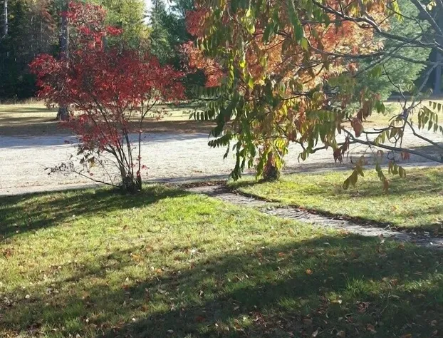 Nomi Resort hotel detail image 2