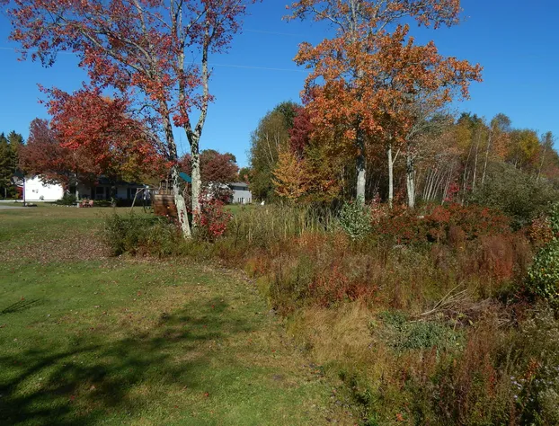 Acadia Sunrise Motel hotel detail image 3