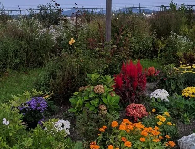 Acadia Sunrise Motel hotel detail image 4