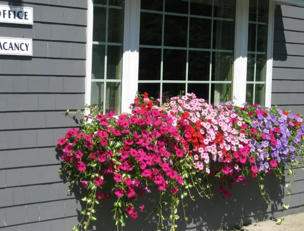 Mid-Town Motel hotel detail image 3