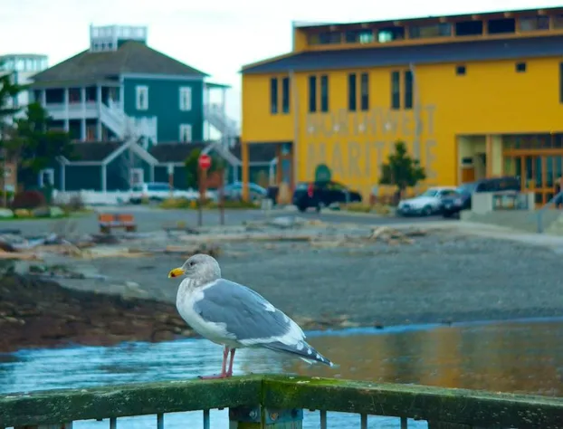 The Swan Hotel hotel detail image 1