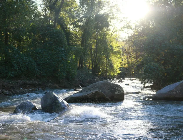 The Riverside Lodge at Chimney Rock hotel detail image 2