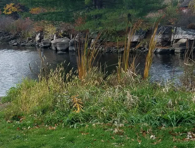 Capt.'s Inn & Suites hotel detail image 1