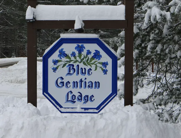 Blue Gentian Lodge at Magic Mountain hotel detail image 1
