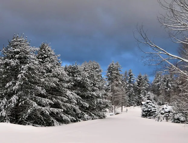Blue Gentian Lodge at Magic Mountain hotel detail image 2