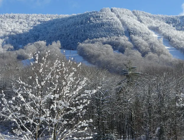 Blue Gentian Lodge at Magic Mountain hotel detail image 4