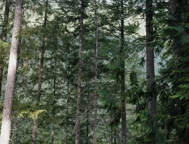 Ruby Lake Resort hotel detail image 3