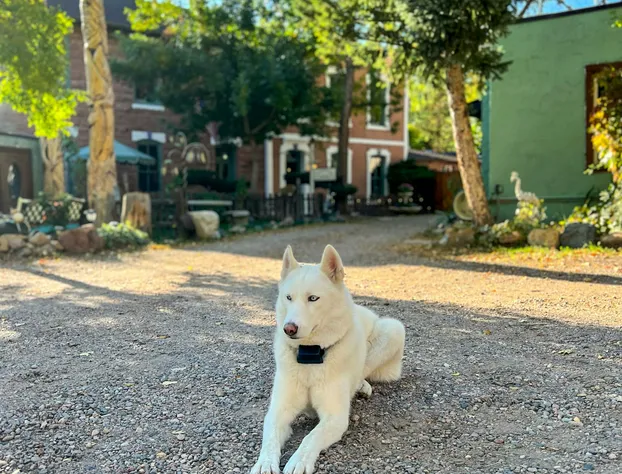 Cliff House Lodge B&B hotel detail image 4