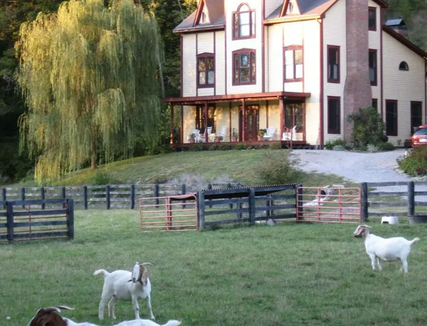 Blue Heron B & B & Retreat Center hotel detail image 1