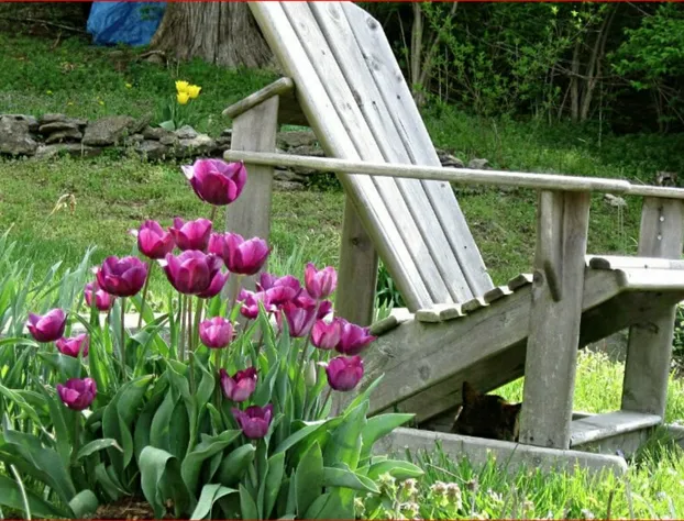 Blue Heron B & B & Retreat Center hotel detail image 4