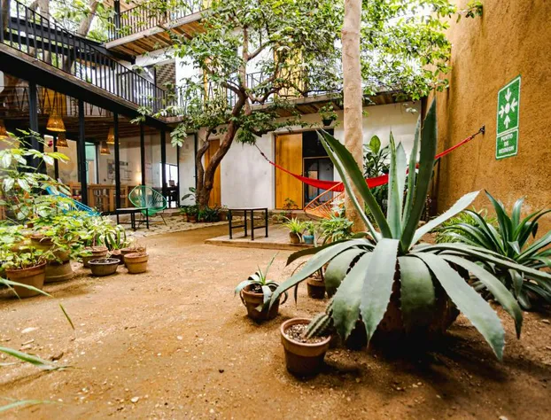 Hotel con Corazón Oaxaca hotel detail image 2