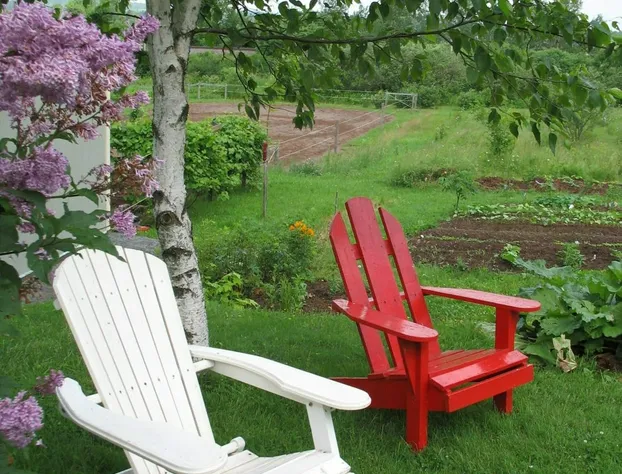 The Nelson House Bed & Breakfast hotel detail image 4