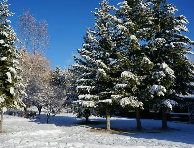 Whitewater Lodge hotel detail image 2
