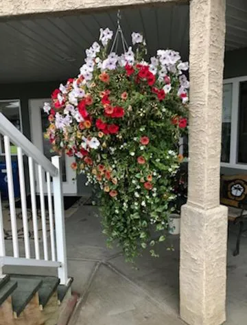 Shoreside Inn & Suites hotel detail image 4