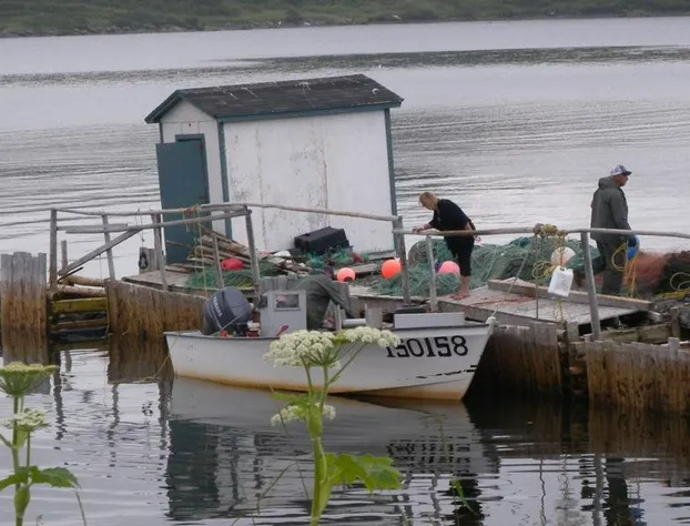 Wildberry Country Lodge B&B hotel detail image 4