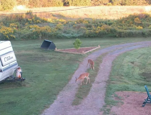 Waterview B & B hotel detail image 3