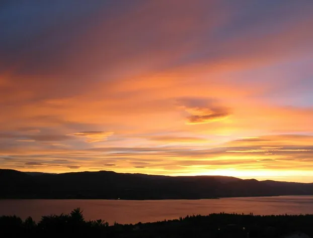 Above Naramata Bed & Breakfast hotel detail image 4