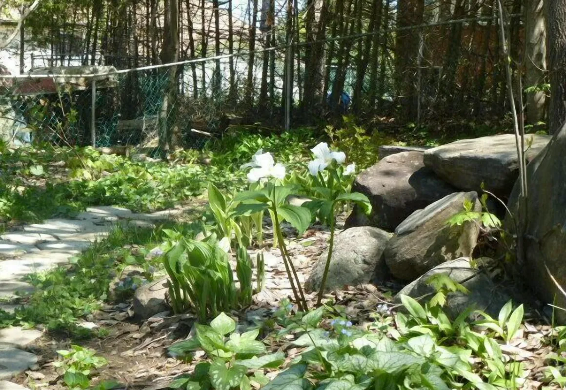 Muskoka Dream Catcher B & B hotel hero