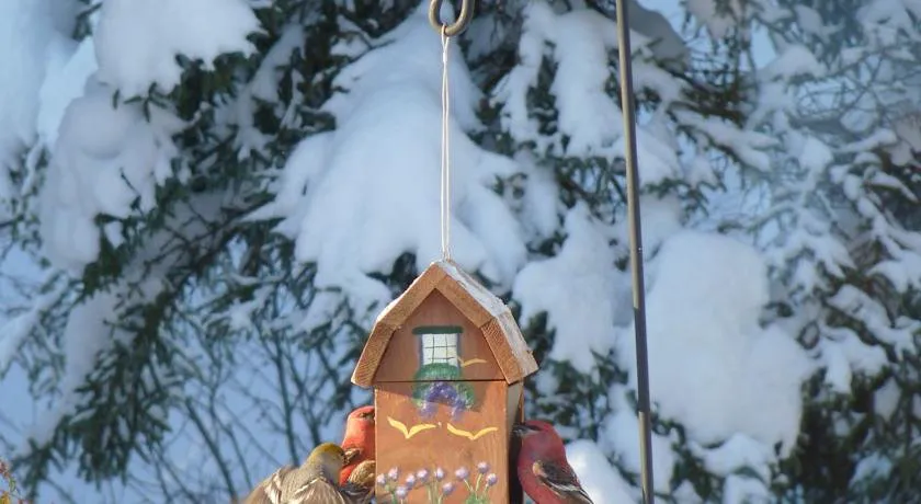 Gîte de la Rivière hotel hero