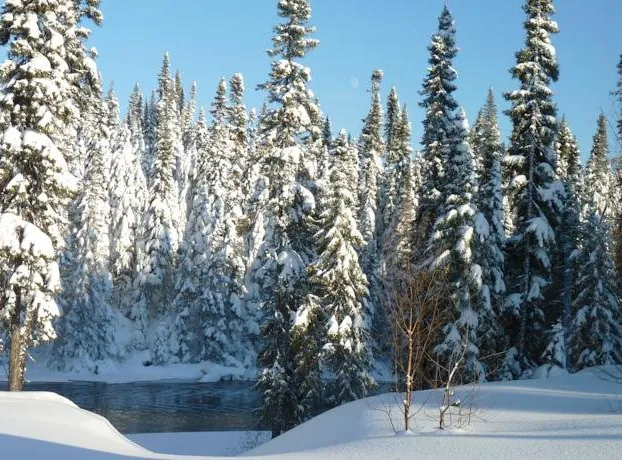 Gîte de la Rivière hotel detail image 2