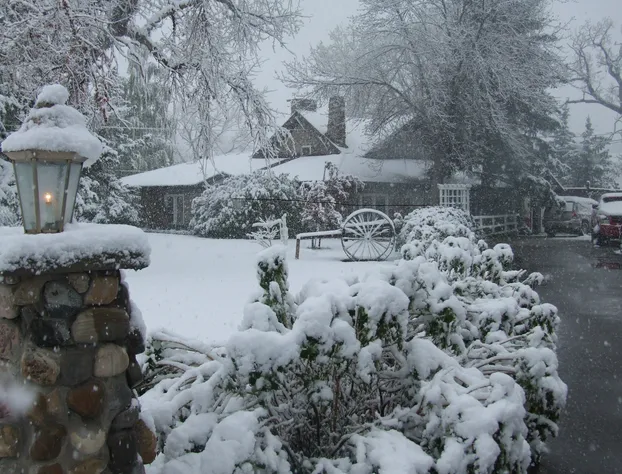 Cobblestone Manor B&B hotel detail image 1