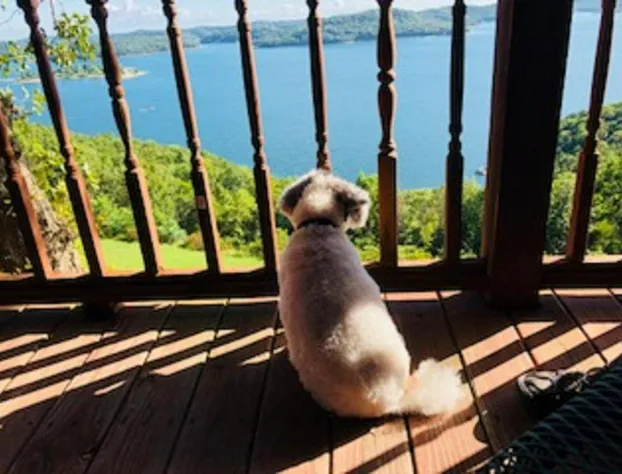 Sugar Ridge Resort hotel detail image 3