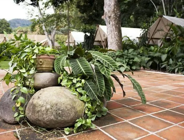 Okavango hotel detail image 3