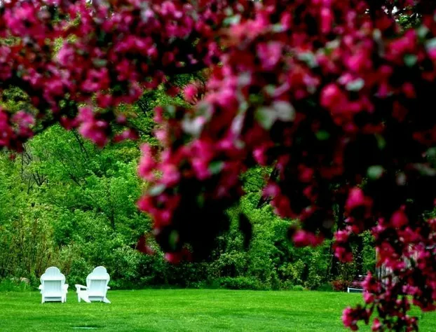 Three Mountain Inn hotel detail image 2