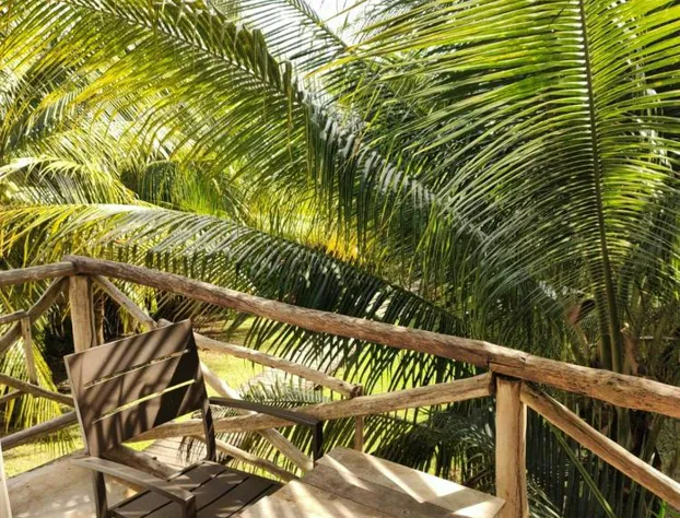 Hotel Casa Corazón hotel detail image 4