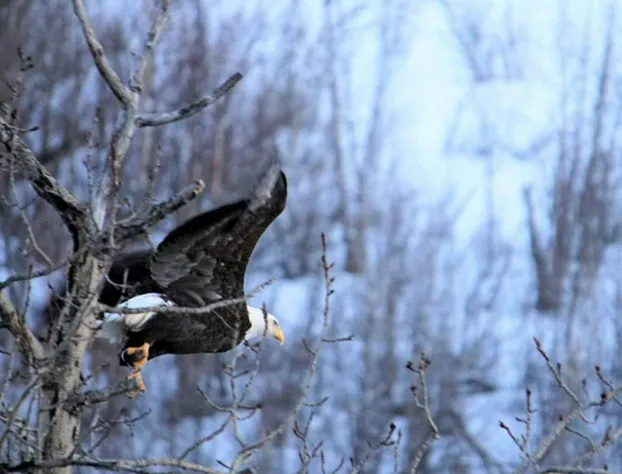 Gateway Overlook hotel detail image 1