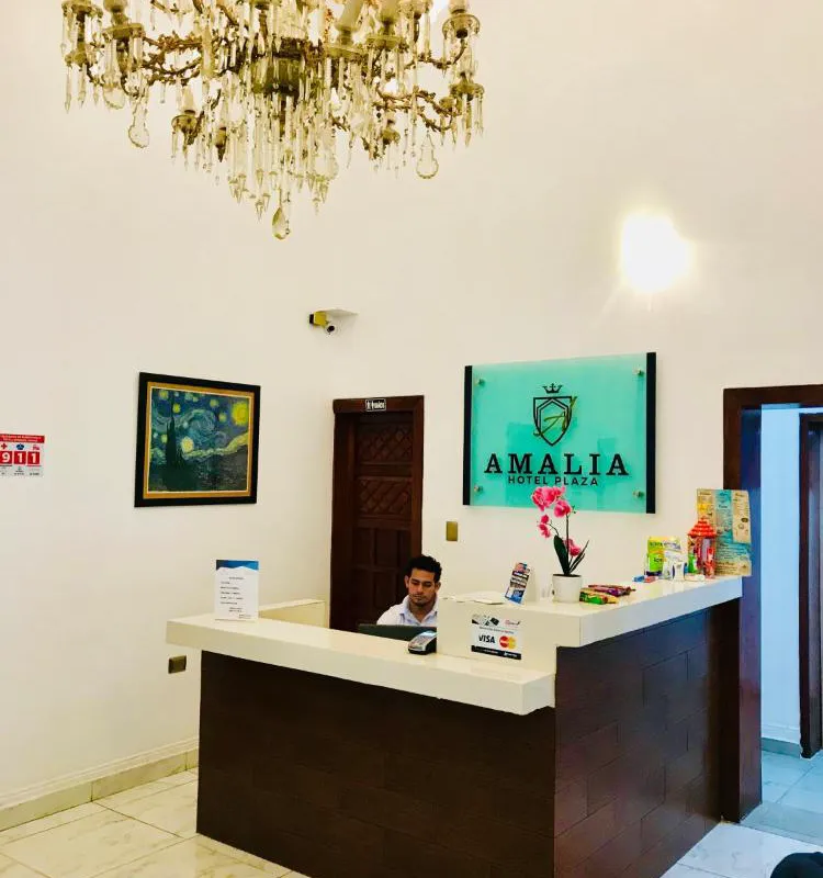 Hotel Plaza Amalia hotel hero