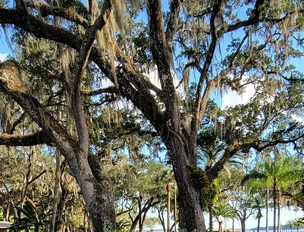 Tropical Resort & Marina on Lake Beresford hotel detail image 3