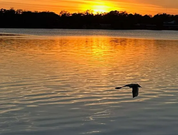 Tropical Resort & Marina on Lake Beresford hotel detail image 4