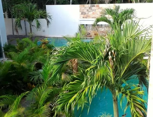 Alma De Flores Private Pools Suites hotel detail image 4