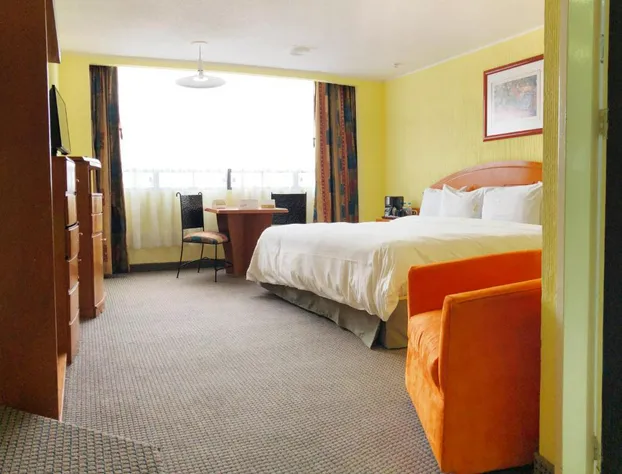 Hotel Real del Sur hotel detail image 4